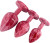 AP-AL001ZY-01-df-4