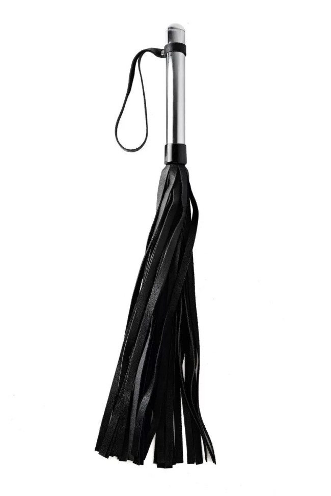 pl-02-bl-4 pl-02-bl-4