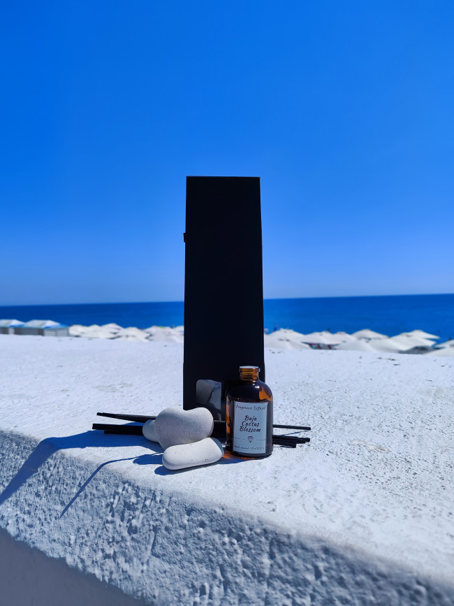 цветок кактуса (2) цветок кактуса (2)