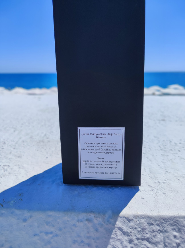 цветок кактуса цветок кактуса