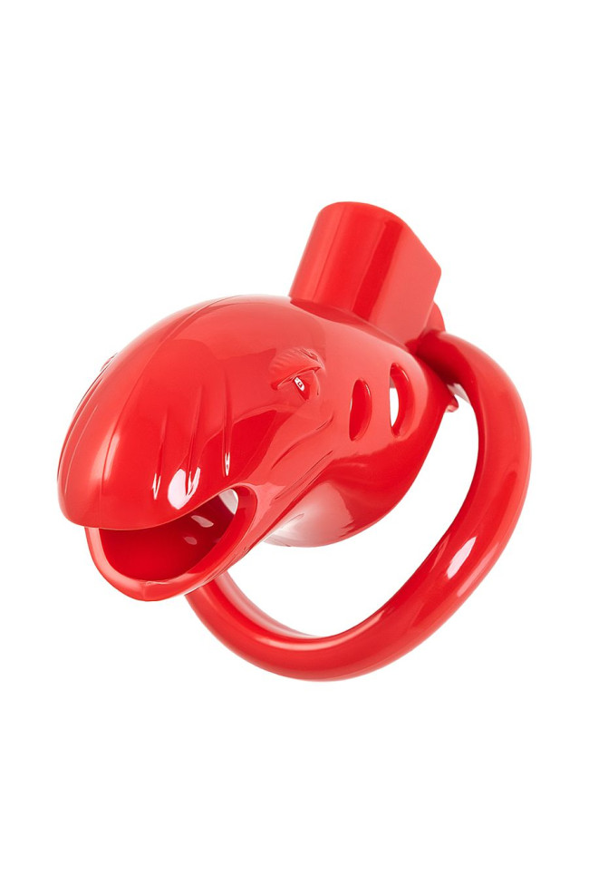 1af39c299d336848afce55b6dda3ccd7 1af39c299d336848afce55b6dda3ccd7