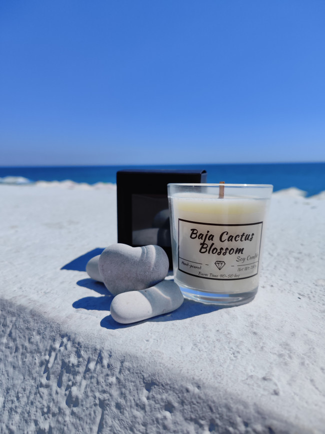 бажа (3) бажа (3)