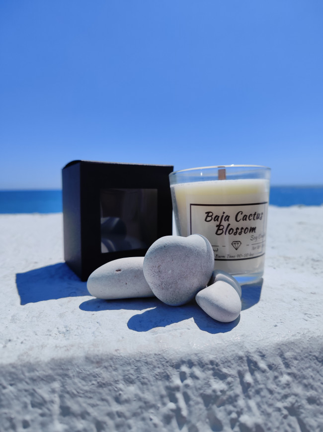 бажа (4) бажа (4)