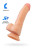 efb319e025cbca18bdc8d28051cacf2f